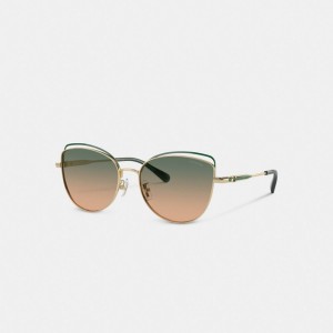 Coach Bandit Wire Oval Sunglasses Glasögon Dam Gröna Gula | 03BLDYJVS