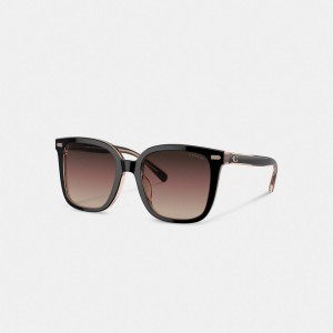 Coach Beveled Signature Oversized Square Sunglasses Glasögon Dam Svarta Rosa | 78RWDNSLA