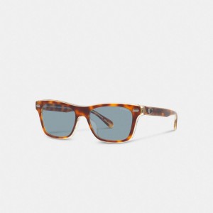Coach Beveled Signature Square Sunglasses Solglasögon Herr Blå | 15KRBCMTS