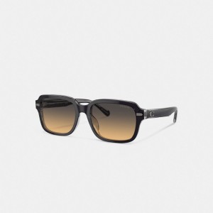 Coach Beveled Signature Square Sunglasses Solglasögon Herr Mörkgrå Ljusgrå | 59XRZAUQP