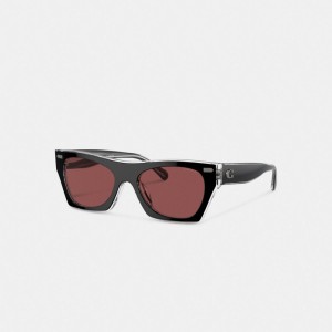 Coach Beveled Signature Square Sunglasses Glasögon Dam Svarta | 84OJFAIKY