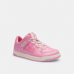 Coach C201 Low Top Sneaker In Signature Canvas Sneakers Dam Rosa | 82YMBHWKE