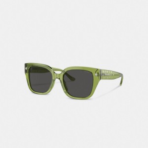 Coach Charms Oversized Square Sunglasses Glasögon Dam Gröna | 65SVIHZPW