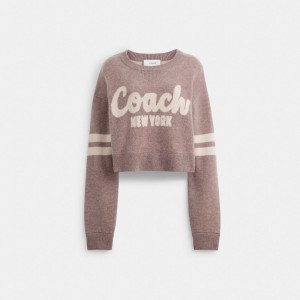 Coach Cropped Sweater Blast Dam Rosa | 45RCNLHBA