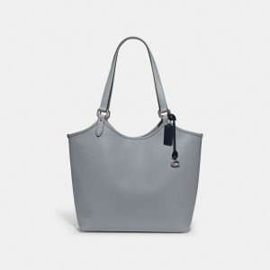 Coach Day Tote Bag Toteväska Dam Silver Grå Blå | 70BZSWHRI