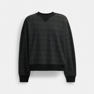Coach Essential Signature Crewneck Blast Herr Grå | 45XYBLQUV