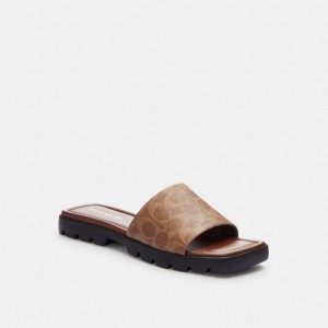 Coach Florence Sandal In Signature Canvas Sandaler Dam Khaki Mörk | 95MSIVKFH