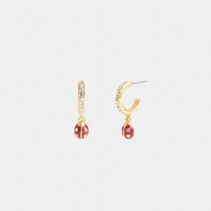 Coach Garden Ladybug Drop Earrings Smycken Dam Guld Olika Färger | 69ZEXUBIO