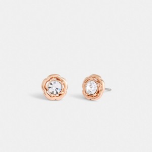 Coach Halo Tea Rose Stud Earrings Smycken Dam Rosa Guld | 29BRCXSPH