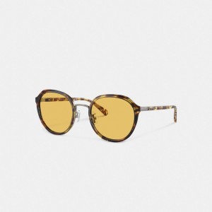 Coach Hangtag Geometric Round Sunglasses Glasögon Dam Orange | 47CHRBYEI