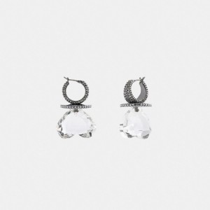 Coach Heart Gemstone Earrings Smycken Dam Silver | 16DGIMKUO