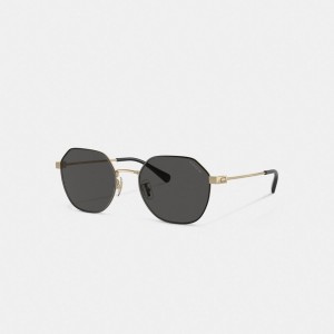 Coach Hinged Geometric Round Sunglasses Solglasögon Herr Guld Svarta | 89UVFNLAZ