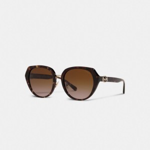 Coach Horse And Carriage Oversized Round Sunglasses Glasögon Dam Olika Färger | 47RUDPJWX