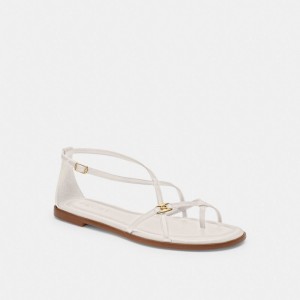 Coach Jenni Sandal Sandaler Dam Olika Färger | 68DXJUVPT