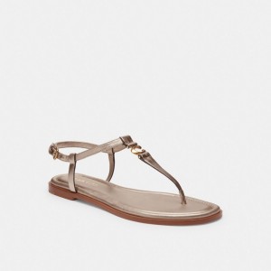 Coach Jessica Sandal Sandaler Dam Olika Färger | 26MXGRVIZ