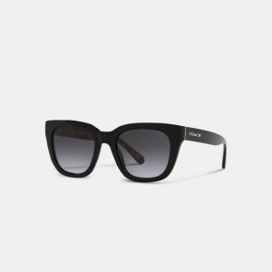 Coach Legacy Stripe Square Sunglasses Glasögon Dam Svarta | 34QIAKUPS