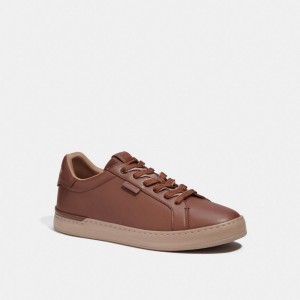 Coach Lowline Low Top Sneaker Sneakers Herr Olika Färger | 02FNLBZSM