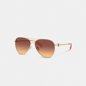 Coach Metal Aviator Sunglasses Glasögon Dam Mörkbruna | 20GFHPDUE