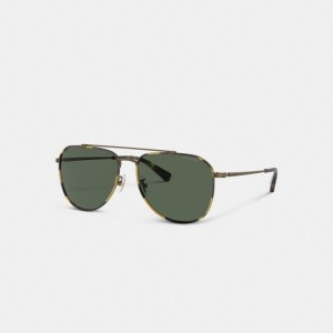Coach Metal Windsor Pilot Sunglasses Solglasögon Herr Guld | 98COBQDYE