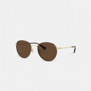 Coach Metal Windsor Round Sunglasses Solglasögon Herr Bruna Guld | 01RATEVIG