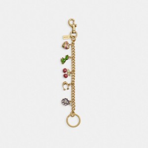 Coach Motif Chain Bag Charm Smycken Dam Olika Färger | 61FGQPDEL