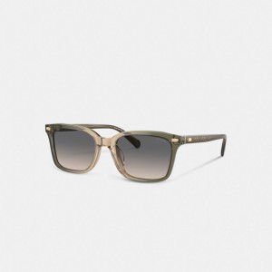 Coach Narrow Square Sunglasses Solglasögon Herr Gröna Bruna | 49QWJPSCT