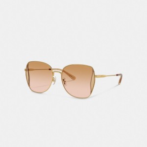 Coach Oversized Butterfly Sunglasses Glasögon Dam Korall Rosa Olika Färger | 40YFZCSVN