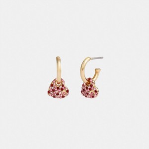 Coach Pave Heart Huggie Earrings Smycken Dam Guld Rosa Olika Färger | 78KZATXIG