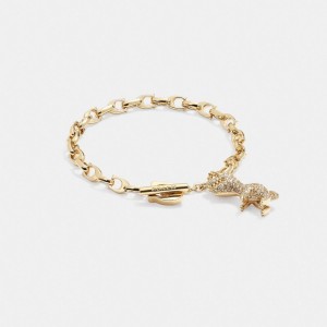 Coach Pave Rexy Signature Chain Bracelet Smycken Dam Guld | 97VWSMZCA