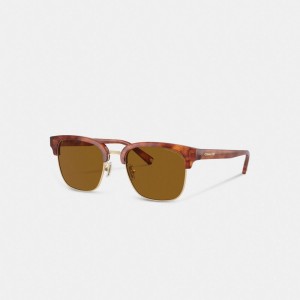 Coach Retro Sunglasses Solglasögon Herr Bruna | 71CIWVMTK