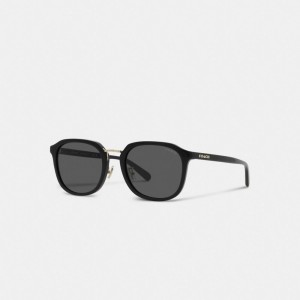Coach Rounded Geometric Sunglasses Solglasögon Herr Svarta | 84YOAMCTS