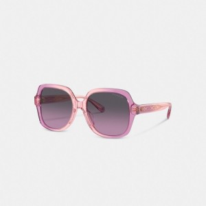 Coach Signature Ombre Oversized Square Sunglasses Glasögon Dam Rosa Lila | 09HCLJAGW