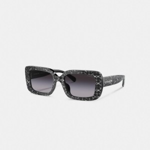Coach Signature Oversized Rectangle Sunglasses Glasögon Dam Silver | 29UPCESZB