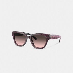 Coach Signature Round Sunglasses Glasögon Dam Olika Färger | 17KYORVDN