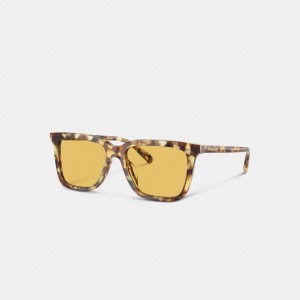Coach Signature Square Sunglasses Solglasögon Herr Orange | 40FKALQMY